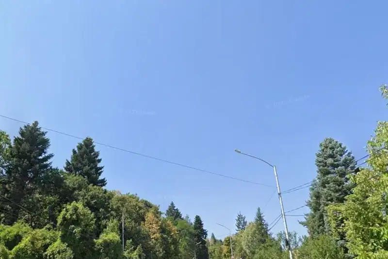 Парцел в София, Бояна