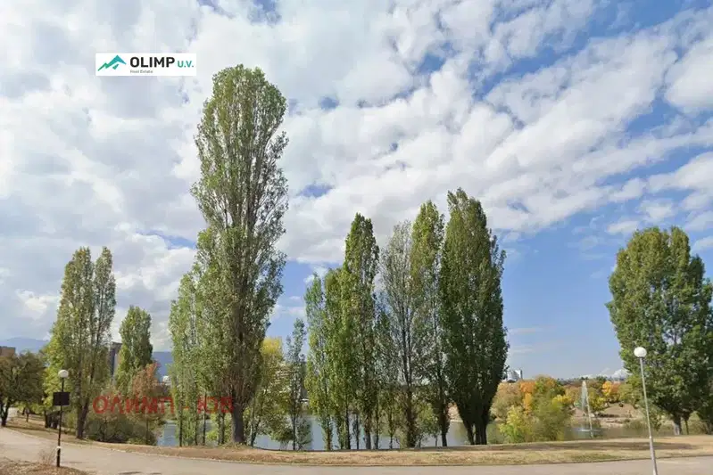 Plot in Sofia, Drujba 1