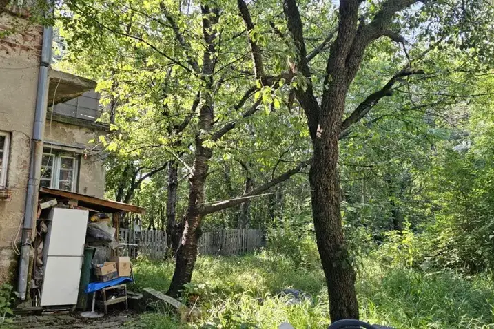 Plot in Sofia, Gyrdova Glava