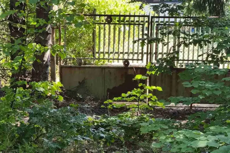 Парцел в София, м-т Щъркелово гнездо
