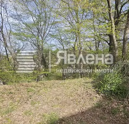 Снимка 2 — Парцел в София, в.з.Килиите