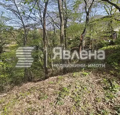 Снимка 4 — Парцел в София, в.з.Килиите