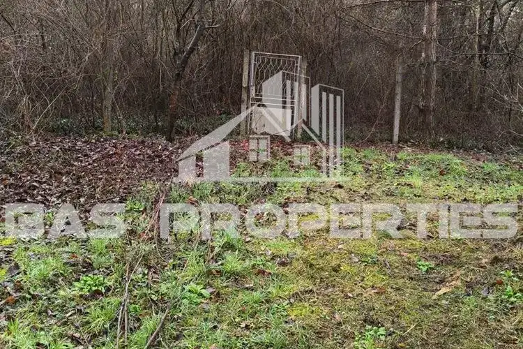 Plot in Sofiya, Kinocentyra