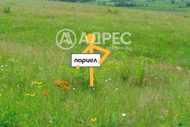 Парцел в Пловдив, Стамболийски