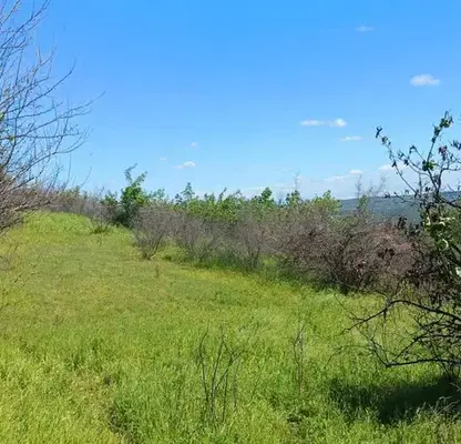 Photo 2 — Plot in Veliko Tyrnovo, Suhindol