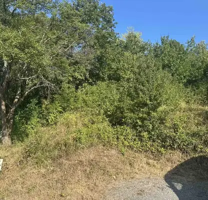 Photo 2 — Plot in Sofia, Svoge