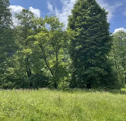 Photo 4 — Plot in Lovech, Teteven