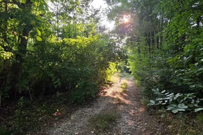 Парцел в Ловеч, Троян