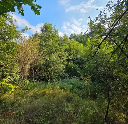 Photo 4 — Plot in Lovech, Troyan