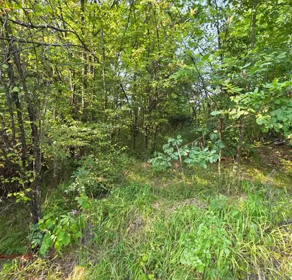 Photo 5 — Plot in Lovech, Troyan