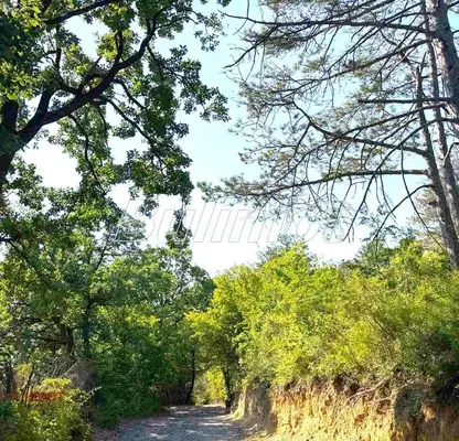 Photo 2 — Plot in Varna, Akchelar
