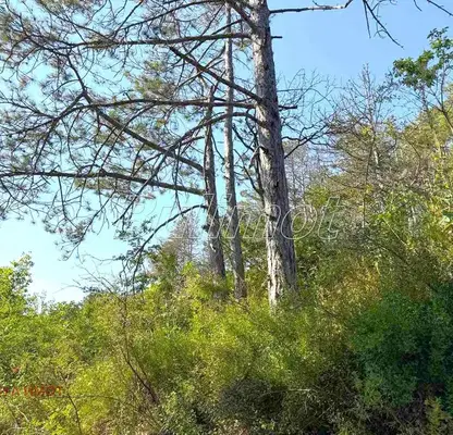 Photo 4 — Plot in Varna, Akchelar