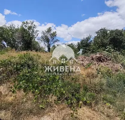 Photo 2 — Plot in Varna, Alen Mak