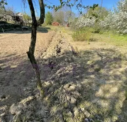 Photo 4 — Plot in Varna, Borovec - Sever