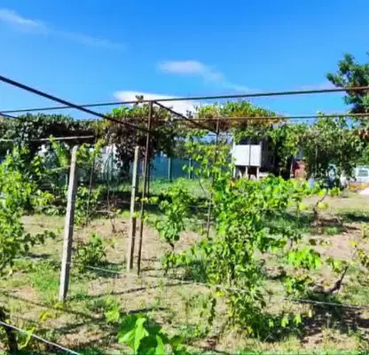 Photo 5 — Plot in Varna, Borovec - Yug