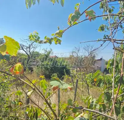 Photo 2 — Plot in Varna, Dobreva Cheshma