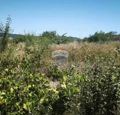 Photo 3 — Plot in Varna, Gorna Traka