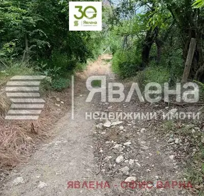Снимка 5 — Парцел във Варна, м-т Сотира