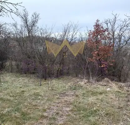 Photo 3 — Plot in Varna, Sylzica