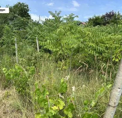 Photo 2 — Plot in Varna, Zelenika