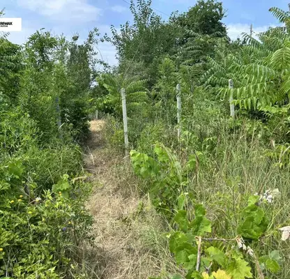 Photo 4 — Plot in Varna, Zelenika