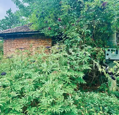 Photo 3 — Plot in Varna, Vylchi Dol