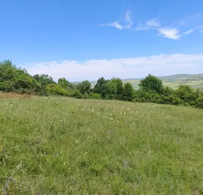 Photo 2 — Plot in Lovech, Yablanica