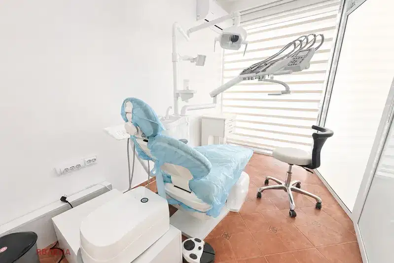 Business Property in Sofia, Belite Brezi