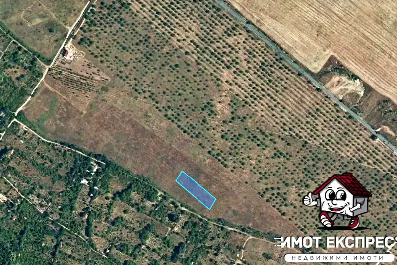 Orchard in Plovdiv, Asenovgrad