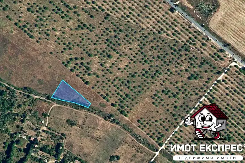 Orchard in Plovdiv, Asenovgrad