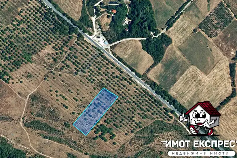 Orchard in Plovdiv, Asenovgrad