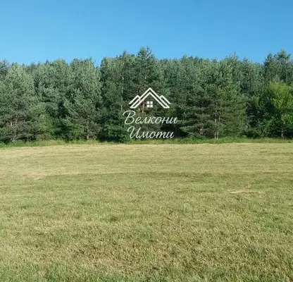 Снимка 4 — Земеделски имот в Пазарджик, Батак