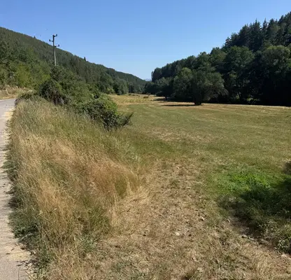 Photo 2 — Meadow in Blagoevgrad, Belica