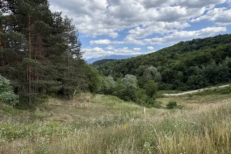 Земеделски имот в Монтана, Берковица
