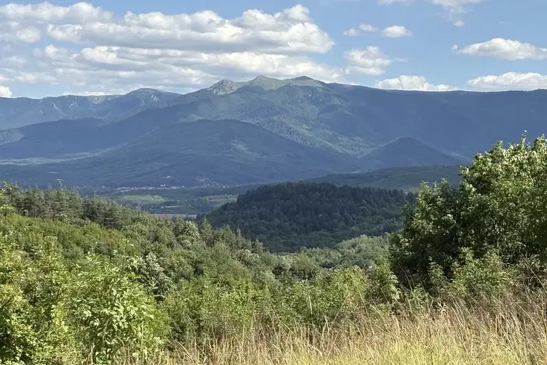 Agricultural Land in Oblast Montana, Berkovica