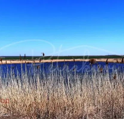 Photo 2 — Arable Land in Burgas, Burgas