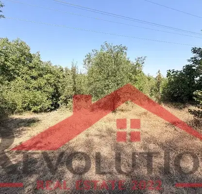 Photo 2 — Arable Land in Kyrdjali, Kyrdjali