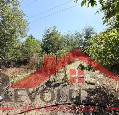 Photo 3 — Arable Land in Kyrdjali, Kyrdjali