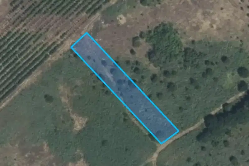 Agricultural Land in Oblast Plovdiv, Plovdiv