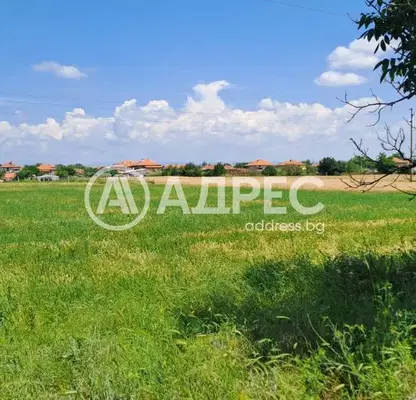 Photo 3 — Agricultural Land in Oblast Plovdiv, Pyrvomai
