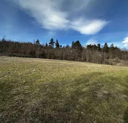 Photo 3 — Agricultural Land in Oblast Blagoevgrad, Razlog