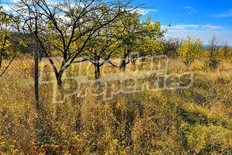 Orchard in Veliko Tyrnovo, Arbanasi
