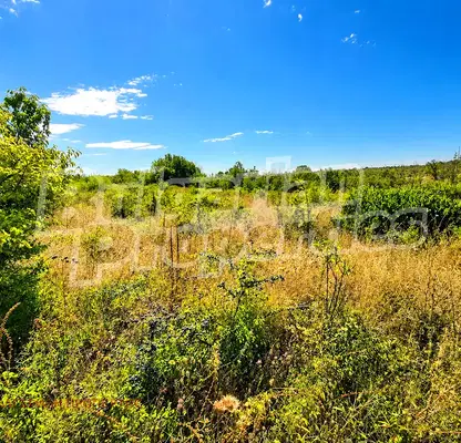 Photo 2 — Orchard in Veliko Tyrnovo, Arbanasi