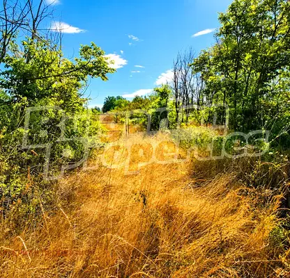 Photo 3 — Orchard in Veliko Tyrnovo, Arbanasi