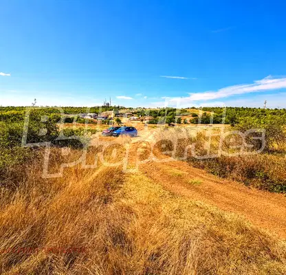 Photo 4 — Orchard in Veliko Tyrnovo, Arbanasi