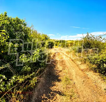 Photo 5 — Orchard in Veliko Tyrnovo, Arbanasi