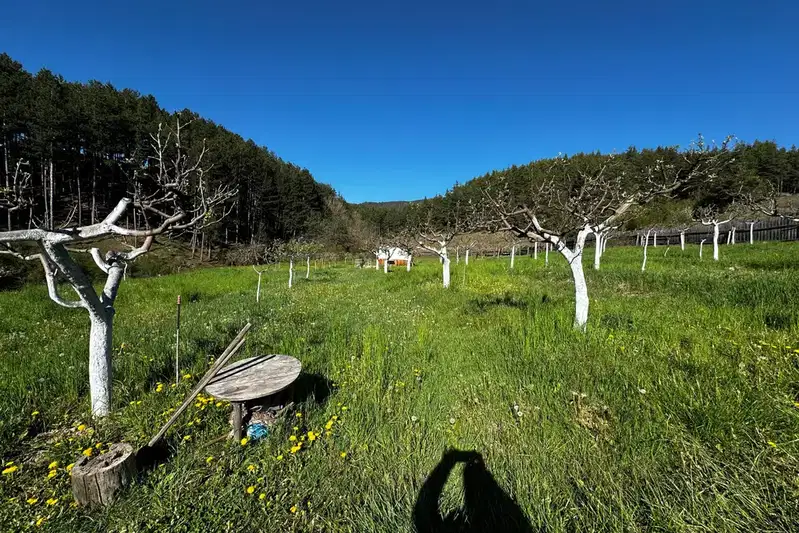 Orchard in Blagoevgrad, Bachevo