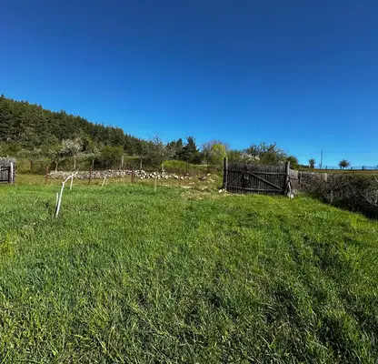 Photo 4 — Orchard in Blagoevgrad, Bachevo