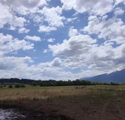 Photo 4 — Arable Land in Blagoevgrad, Banya