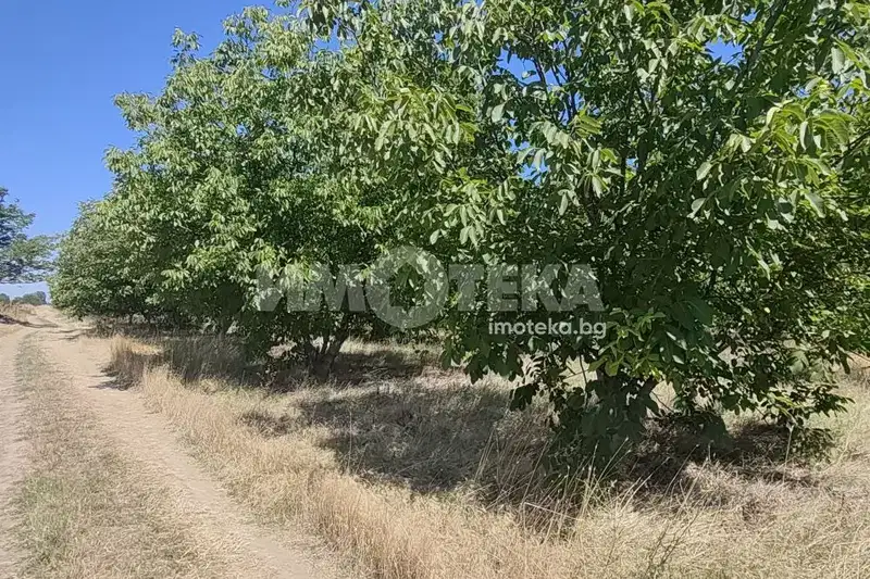 Agricultural Land in Oblast Plovdiv, Calapica